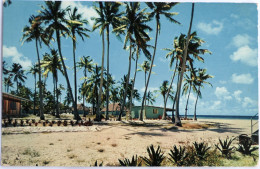 Carte Postale : Polynésie Française : Atoll De HAO Base Avancée, Le Club Nautique, Les Farés Officiers - French Polynesia