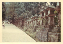 Photographie Originale JAPON NARA Sanctuaire Kasuga - Asie