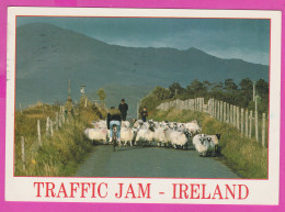 298314 / Traffic Jam - Ireland Eire , Velo Bike , Road Sheep Shepherds PC USED Cill Chainnigh  1991 - 32P Art Treasures - Verzamelingen & Kavels