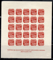 CZECH CECA CZECHOSLOVAKIA CESKA CECOSLOVACCHIA 1937 NEWSPAPER STAMP CARRIER PIGEON 10h BLOCK SHEET MLH - Dagbladzegels