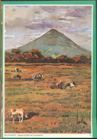 °°° NICARAGUA - PASCOLI AI PIEDI DEL CONCEPCION °°° - Costa Rica