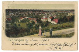 BINNINGEN: Colorierte Teilansicht Mit Posierender Familie 1903 - Binningen