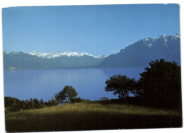 Lac Léman - Vu Du Signal De Chexbres - Chexbres