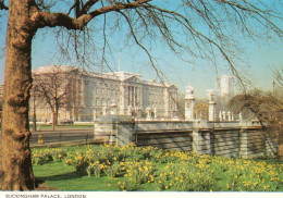 CPM - K - ANGLETERRE - LONDRES - BUCKINGHAM PALACE - Buckingham Palace
