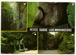 Petite Suisse Luxembourgeoise - Gorge Du Loup - La Morgue - Schiessentûmpel - Chaire à Prêcher - Müllerthal