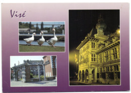 Visé - Hôtel De Ville - Oiesde Visé - Centre Culturel - Wezet
