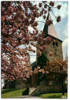 Boitsforts - Eglise St-Clément - Watermaal-Bosvoorde - Watermael-Boitsfort