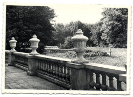 Abbaye De Cortenberg - La Terrasse - Kortenberg