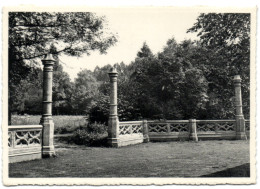 Abbaye De Cortenberg - Vue Du Parc - Kortenberg