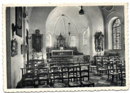 Abbaye De Cortenberg - La Chapelle - Kortenberg