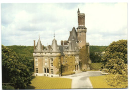 Antoing - Panorama - Château Des Princes De Ligne - La Trémoïlle - Donjon Et Tour Du Xve - Antoing
