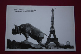 Paris .  Rhino 1989 Postcard - Rhinoceros