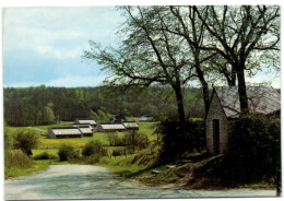 Ny (Hotton) - Village De Vacances L'Espinette - Hotton