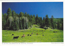 AK 172073 USA - Colorado - In Den San Juan Mountains Bei Duranngo - Altri & Non Classificati