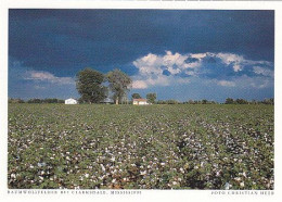 AK 172081 USA - Mississippi - Baumwollfelder Bei Clarksdale - Sonstige & Ohne Zuordnung