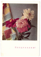 USSR 1967 CONGRATULATIONS ! ASTERS SMOLYAKOV #82 POSTAL STATIONERY UNUSED IMPRINTED STAMP GANZSACHE - 1960-69