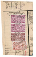TR 238, 246, 249 Sur Fragment Bulletin D'expedition, Obliterations Centrales Nettes HABAY - Used