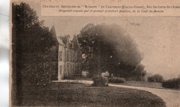 CHATEAU ET SEIGNEURIE DE BLEMONT EN CHAPTELAT  TBE - Nieul