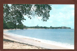 (RECTO / VERSO) BARBADOS - N° 3 - WEST COAST BEACH - BEAU TIMBRE - FORMAT CPA - Barbados