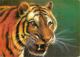 Wild Animals Panthera Tigris - Tigers