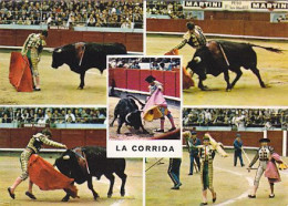 AK 172298 BULL / STIER - La Corrida - Taureaux