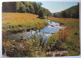 BELGIQUE - NAMUR - GEDINNE - VENCIMONT - La Houillle - Gedinne