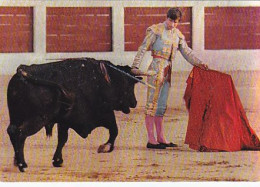 AK 172306 BULL / STIER - El Cordobes - Tauri