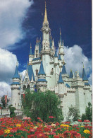 USAFL 02 01 - ORLANDO - WALT DISNEY WORLD - CINDERELLA CASTLE - Orlando