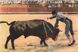 AK 172314 BULL / STIER - Corrida De Toros - Taureaux