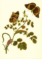 G5785 - TOP Maria Sibylla Merian Künstlerkarte - Nach Handkoloriert Kupferstich - Verlag Seemann DDR - Plantes Médicinales