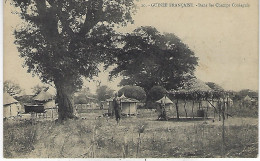 GUINEE FRANCAISE ( Afrique  Occidentale - Ex Colonie Francaise ) - Dans Les Champs Coniaguis - Guinée Française