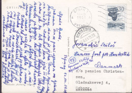 Yugoslavia PPC Cetinje VRSAC 1961 Brotype HUNDESTED (Arr.) Denmark REadressed SØBORG Vignette Echte Real Photo (2 Scans) - Lettres & Documents