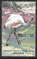 Libya - MNH 1982 : Greater Flamingo  -  Phoenicopterus Roseus - Flamencos