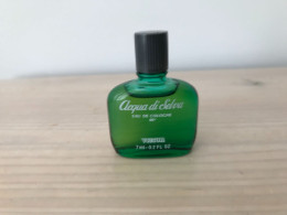 Victor Acqua Di Selva EDC 7 Ml - Miniaturen Herrendüfte (ohne Verpackung)