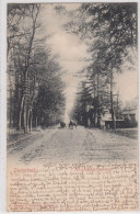 Oosterbeek. Utrechtsestraatweg. * - Oosterbeek