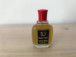 Wolf, Walter Formel 1 AS 5 Ml - Miniatures Hommes (sans Boite)