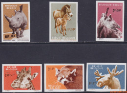 België 1961 - Mi:1242/1247, Yv:1182/1187, OBP:1182/1187, Stamp - □ - Zoo Of Antwerp I Animals - 1961-1980