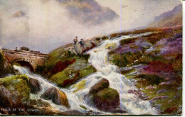 TUCKS OILETTE  - 1722 - PICTURESQUE NORTH WALES - FALLS OF THE OGWEN - Caernarvonshire
