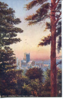 TUCKS OILETTE - 7141 - WELLS - CATHEDRAL FROM TOR HILL WOOD - Wells
