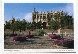 AK 172424 SPAIN - Mallorca - Kathedrale La Seo In Palma - Palma De Mallorca