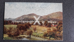 THE MALVERN HILLS FROM LINK COMMON OLD COLOUR ART POSTCARD A. R. QUINTON SALMON NO 1315 - Quinton, AR