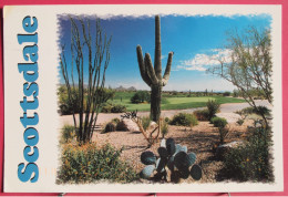 Etats-Unis - Arizona - Scottsdale - Scottsdale