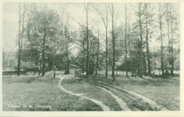 Rijssen; In De Grimberg - Niet Gelopen. (J.C. Nieuwenhuis - Rijssen) - Rijssen