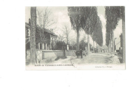 Cpa - 21 - Côte D'Or - Route De Venarey Les Laumes - Coll J.L.  -- 1905 - Animation Attelage Cheval Arbres - Venarey Les Laumes