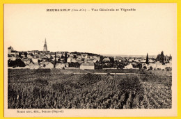 MEURSAULT VUE GENERALE ET VIGNOBLE - Meursault