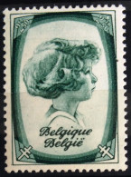 BELGIQUE                       N° 494                       NEUF** - Unused Stamps