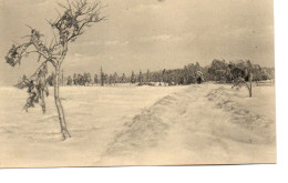 Baraque Michel Sous La Neige - Jalhay