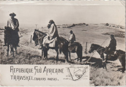 Cpsm 10x15. République SUD AFRICAINE . TRAWSKEL . Cavaliers Xhosas - Zuid-Afrika