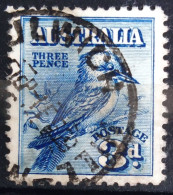 AUSTRALIE                    N° 59                     OBLITERE - Used Stamps