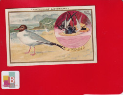 Peu Courante Chromo Chocolat Lombartbord De Mer Chasse Mouette Pour Chapeaux Plumes - Lombart